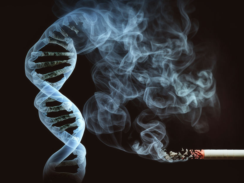 Комплексная оценка воздействия курения и его взаимодействия на метилирование ДНК