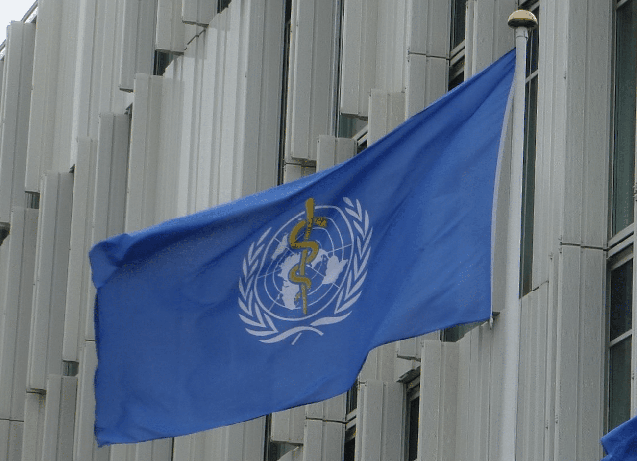 COP11 ВОЗ угрожает сокращению вреда от табака закрытыми дверями